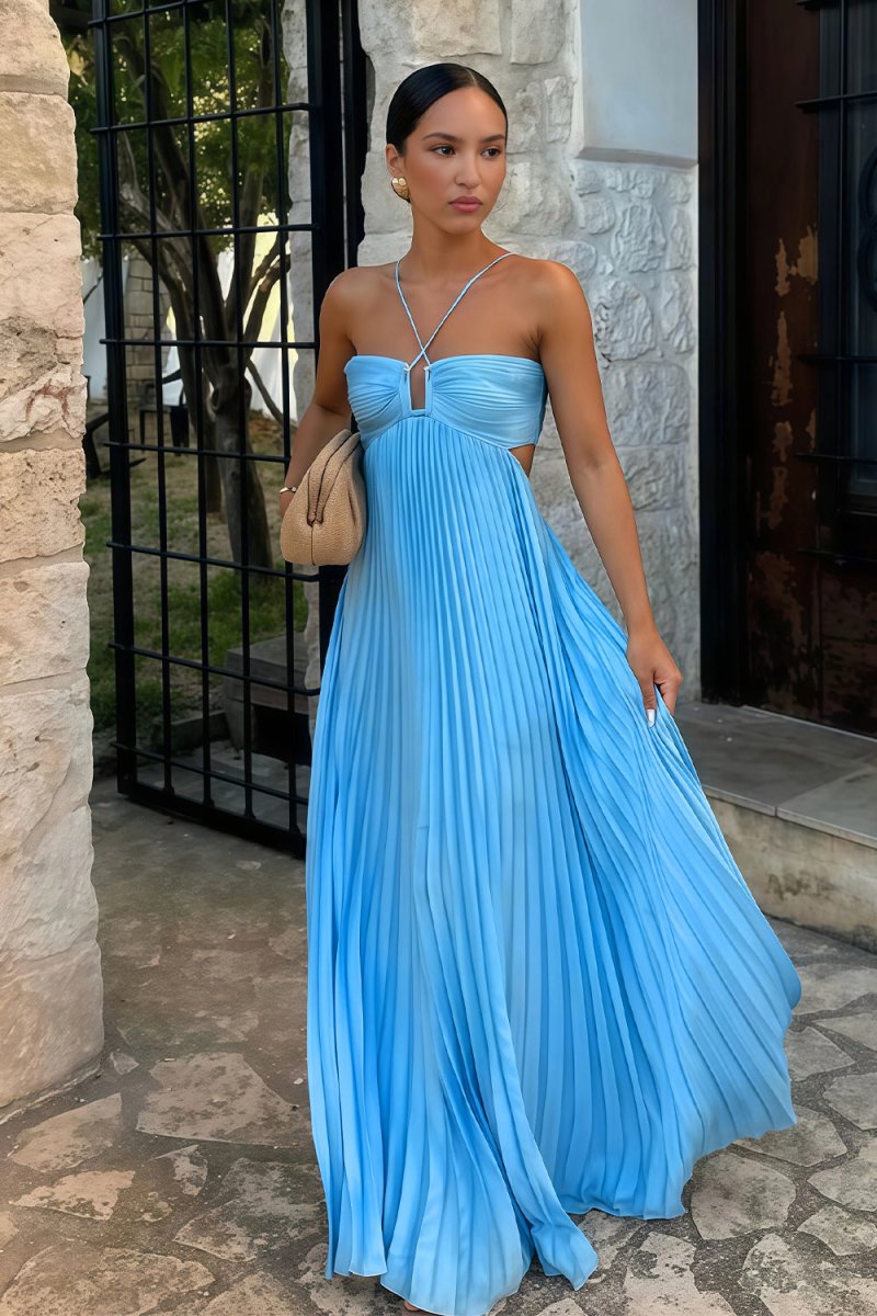 Women's Halter Pleated Long Dress Formal Prom Wedding Guest Gala Ceremony Evening Elegant Backless – Luella