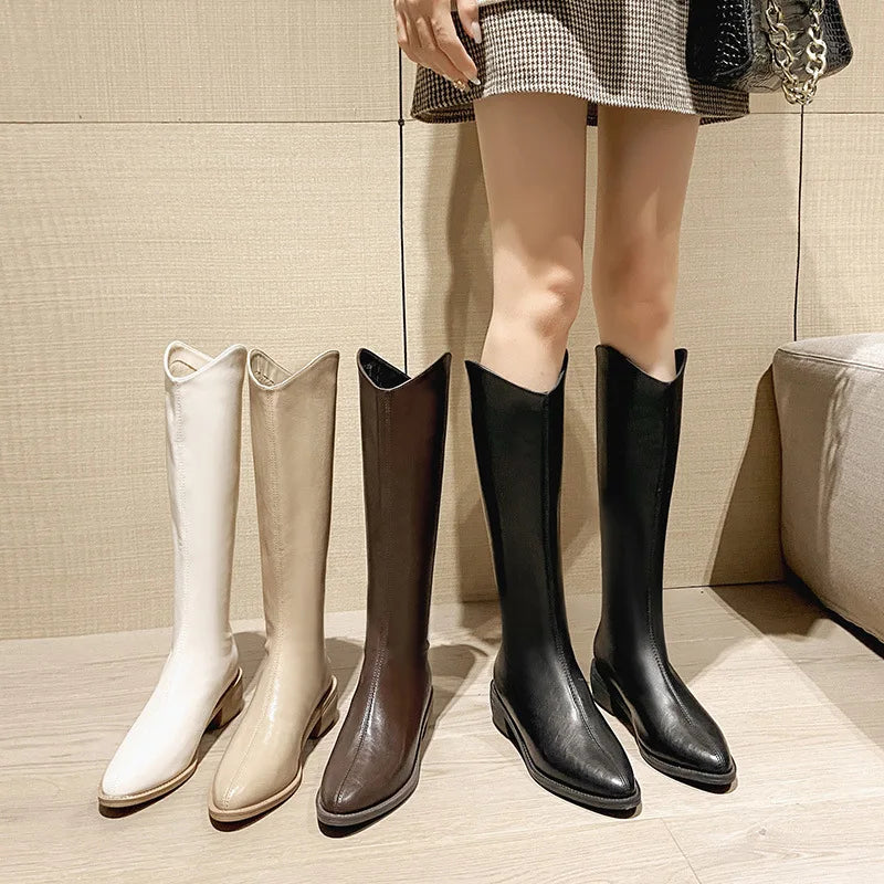 Women's Heel Knee High Boots – Pointed Toe Pull-On - Lolly 